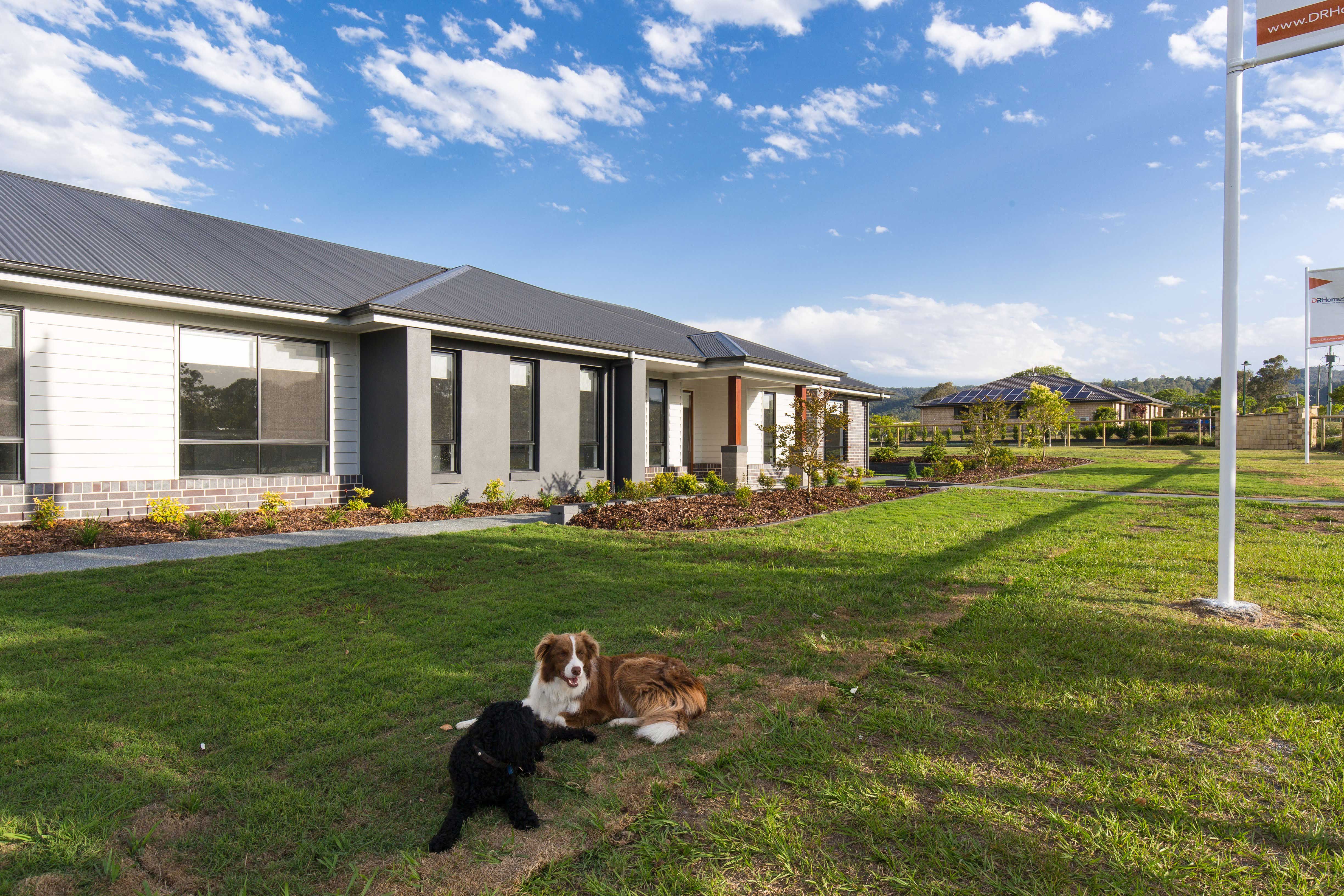 Plenty of space for the pooches